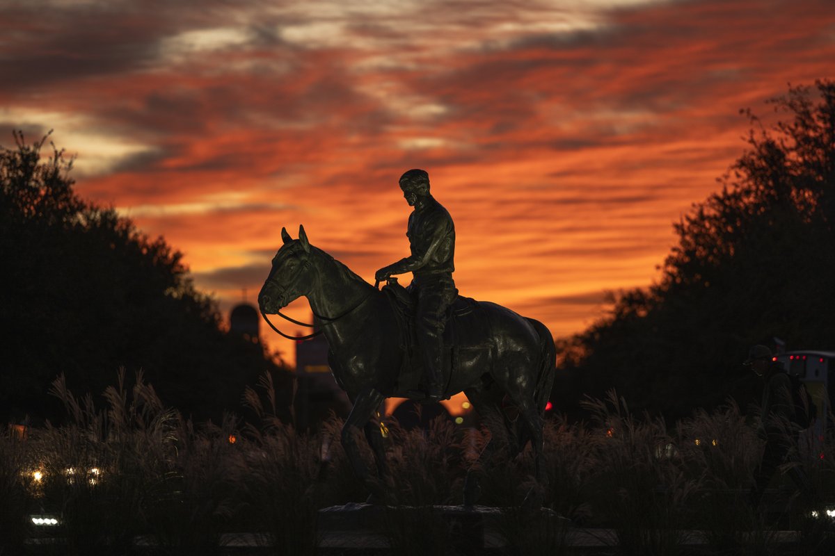 Texas Tech University tweet media