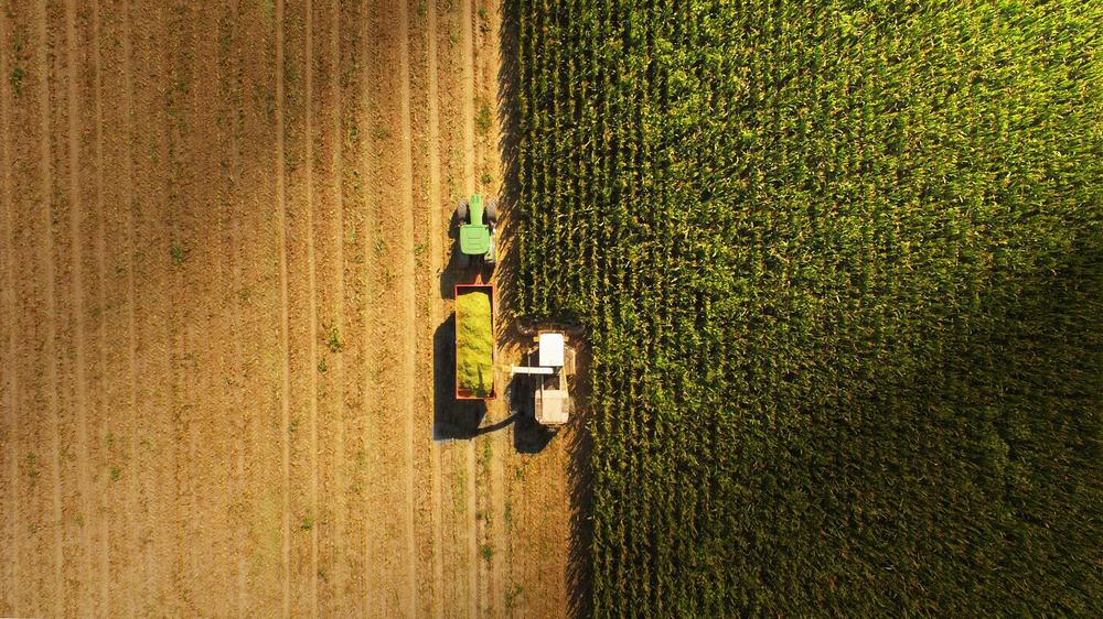 We’re loving this great blog by @UnlockNextGen – founded by us, @UnlockNetZero and @YOUTHCHARTER – on #UKFarming, as the team explores the issues facing the industry and how we can all make a change to reduce our #CarbonFootprints. Well worth a read.💭👉 bddy.me/3U4OK4H