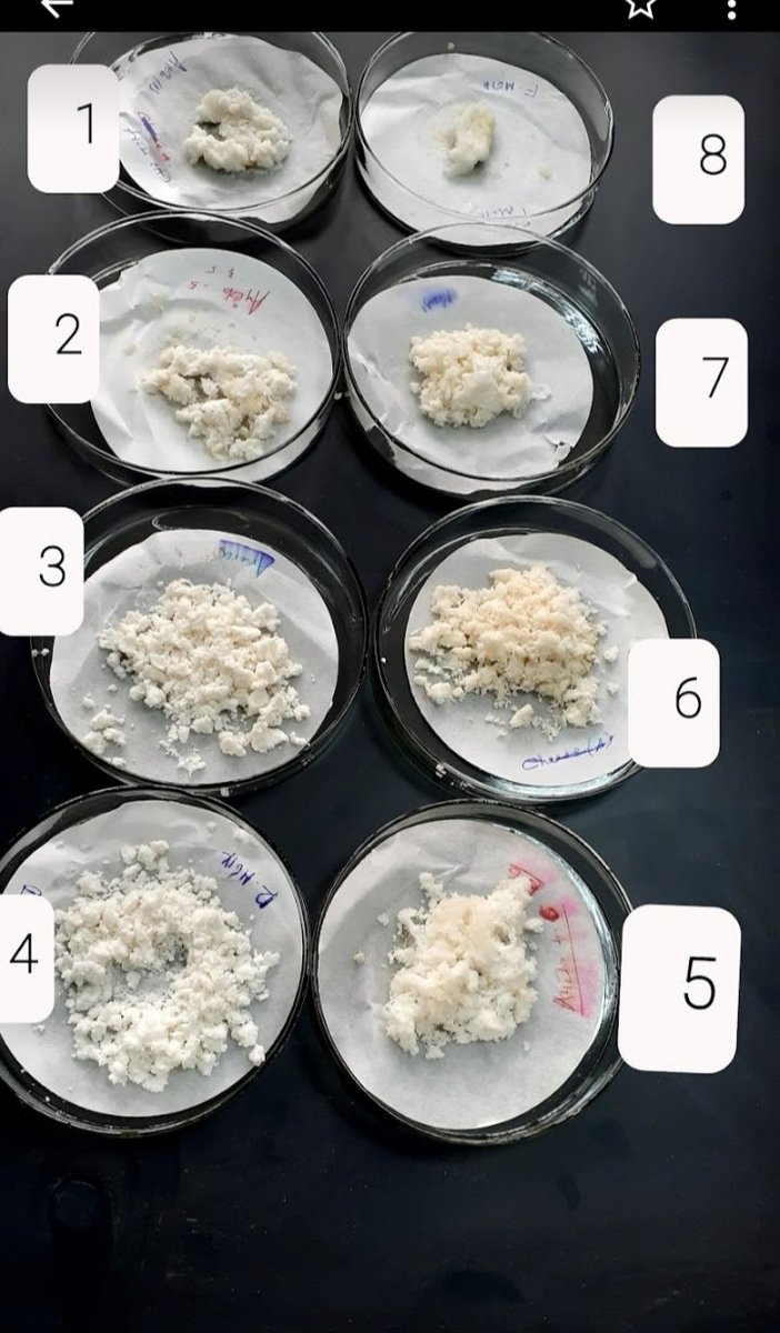 JarsoAliyi's tweet photo. My today's interesting products Bacterial secondary metabolite  after fermentation  filtration.....it's Amezing products that may serve for drugs delivery  and cryo persevation... https://t.co/ageMmSnEhU