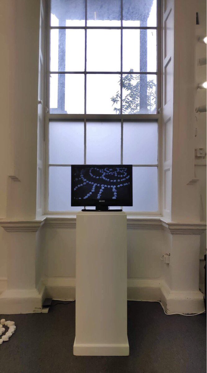 OC_Gallery's tweet photo. All ready at @OC_Gallery for @cagaireland’s #galleryopen2022. Visit us at 6:30pm &amp; get your 1-free drink card stamped for the night. Olivier will say a few words about @McConnonMiriam’s @lost_lace show and we’ll play Aoife Gillies’s film about the installation at Iveagh Gardens. https://t.co/KOj7IXp760