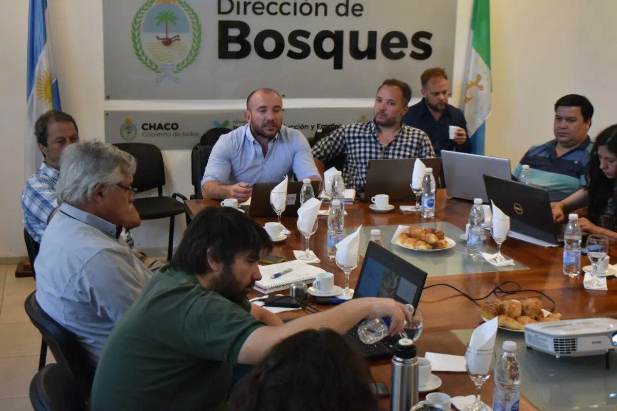 Dirección de Bosques tweet media
