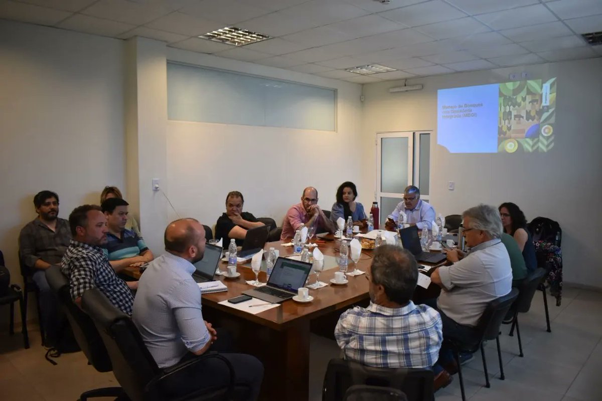 Dirección de Bosques tweet media