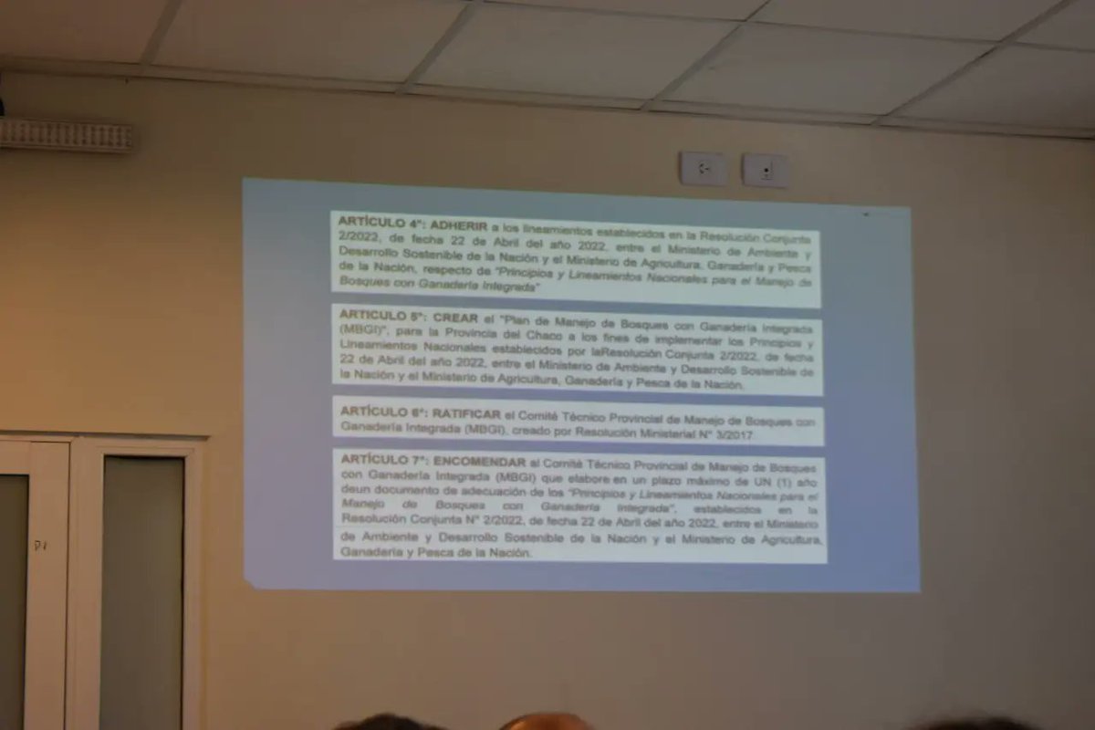 Dirección de Bosques tweet media