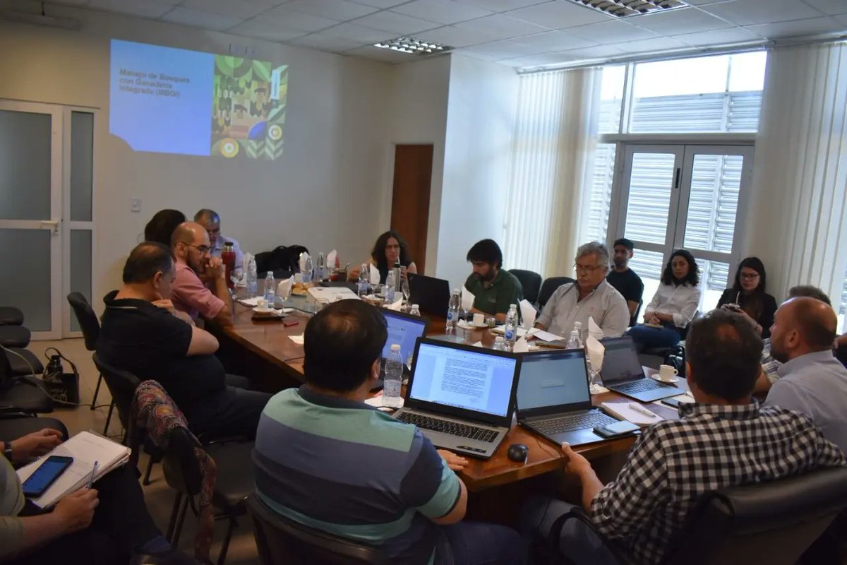 Dirección de Bosques tweet media