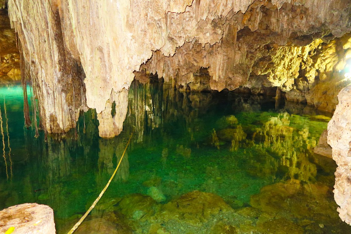 onnadelmar's tweet photo. Cenote Xkeken, Valladolid 🌏 Mexico
#Travel #traveling #Mexico #cenote https://t.co/ZiAl0hNt6e