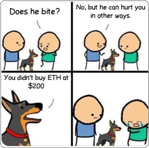 NeanderMEME of the day 🐶 #ETH #NFTCommunity