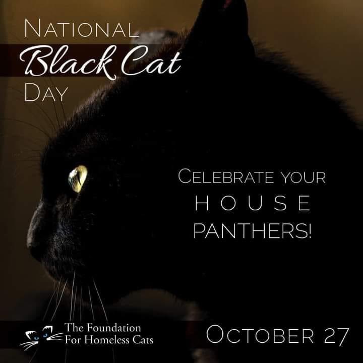 Noah's Ark Pet Supplies (@noahsupplies) on Twitter photo 