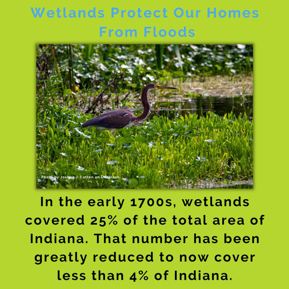 Heavy rains cause flooding across Central Indiana!

Have you seen this headline?

🤔 what would have happened if we had more wetlands?

#wetlands
#envrionment
#advocate
#floodinsurance
#homeinsurance