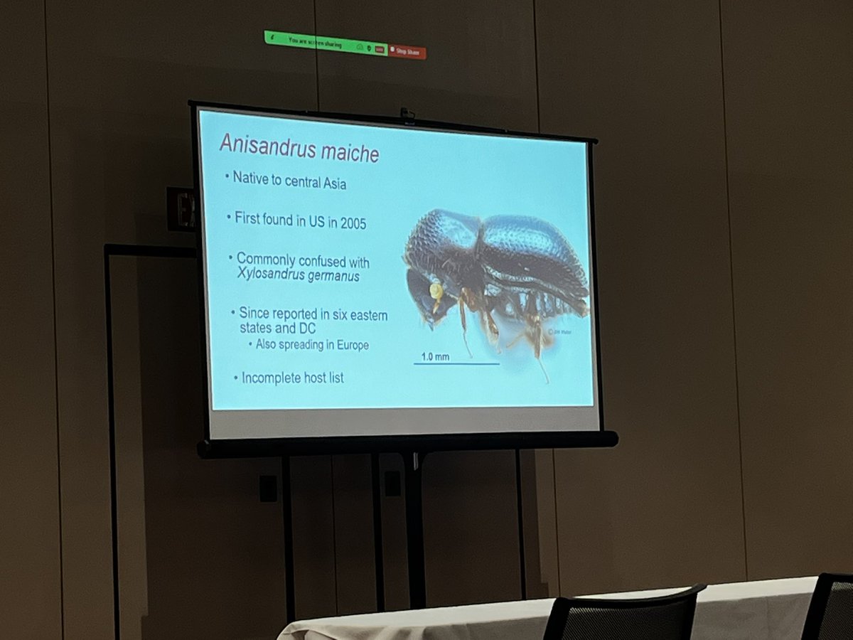 Tricia Bethke tweet media