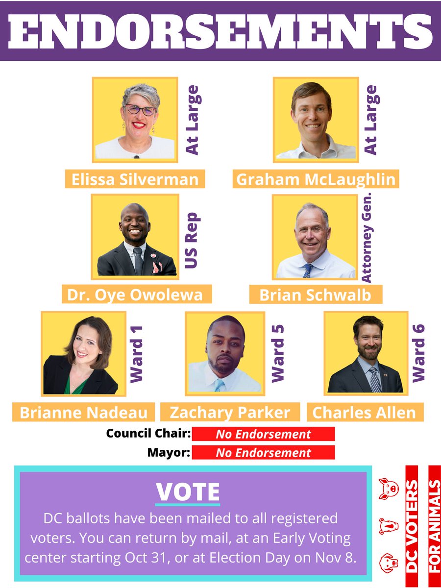 DCV4A's tweet photo. We've endorsed 7 candidates in the DC elections—help us elect the best animal supporters to DC government! Reminders:
1) You get to vote for TWO At Large candidates 
2) @Vote4DC mailed ballots to all registered voters
3) Early Voting runs Oct 31 - Nov 6
4) Election day is Nov 8 https://t.co/6QURdEN9HQ