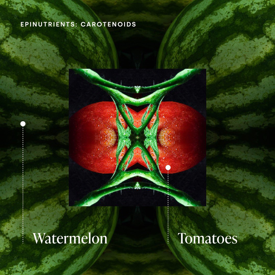 FOXO LIFE tweet media