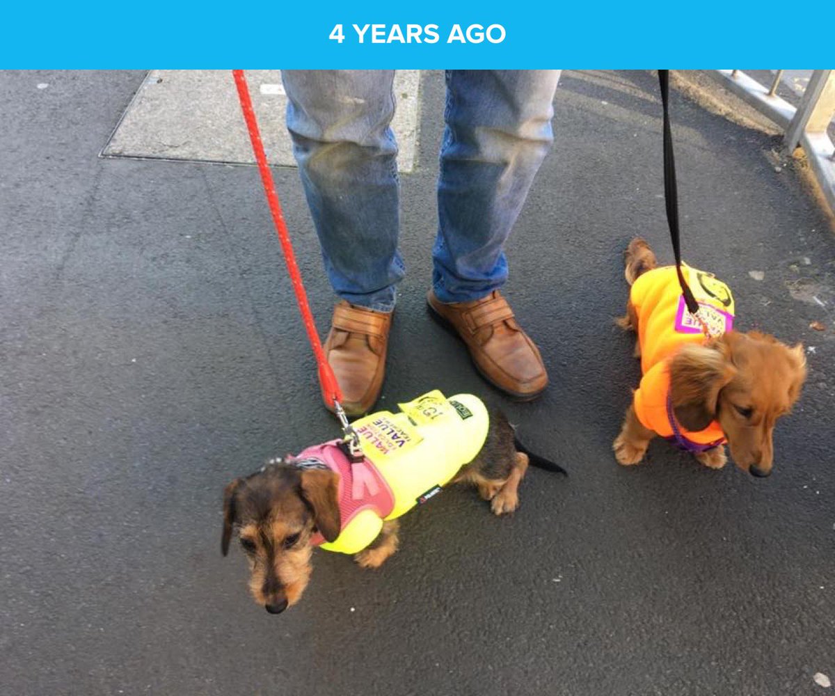 maryoddsocks's tweet photo. #PayAttention #VoteYesVoteEarly Me and my wee dog getting ready 4 years ago. And we’ll do it again if we need to! @EISUnion https://t.co/ogqOCh6hSp