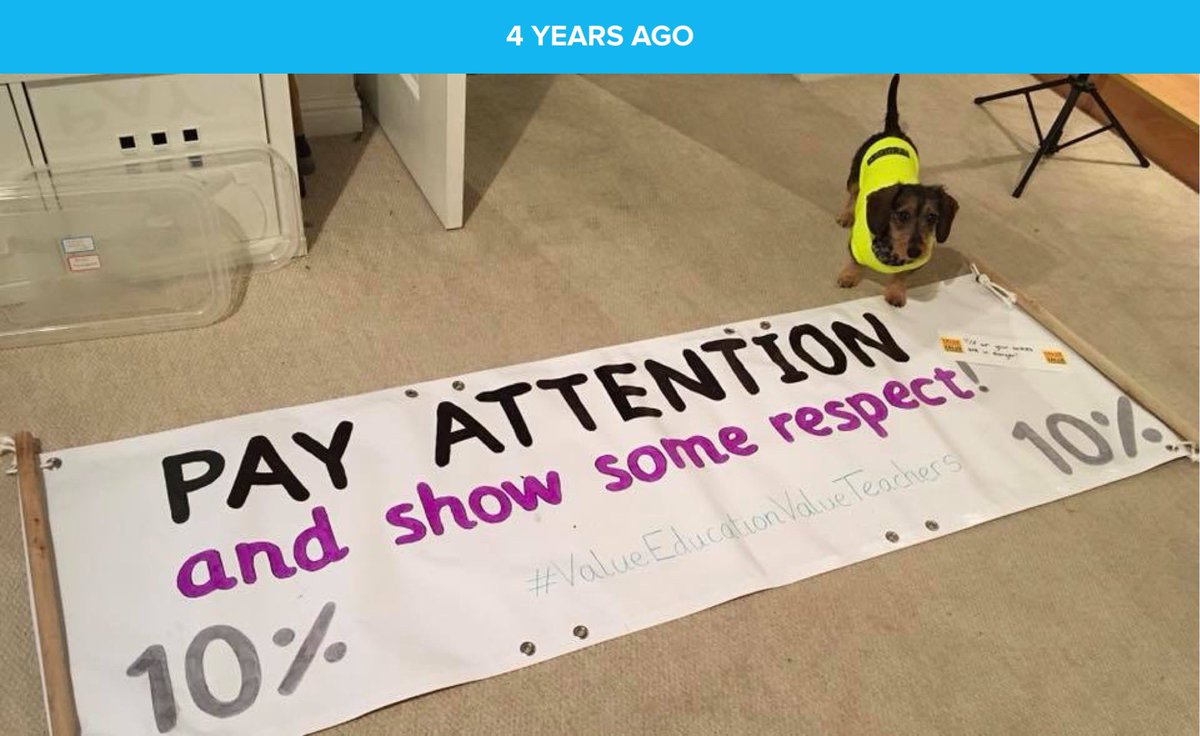 maryoddsocks's tweet photo. #PayAttention #VoteYesVoteEarly Me and my wee dog getting ready 4 years ago. And we’ll do it again if we need to! @EISUnion https://t.co/ogqOCh6hSp
