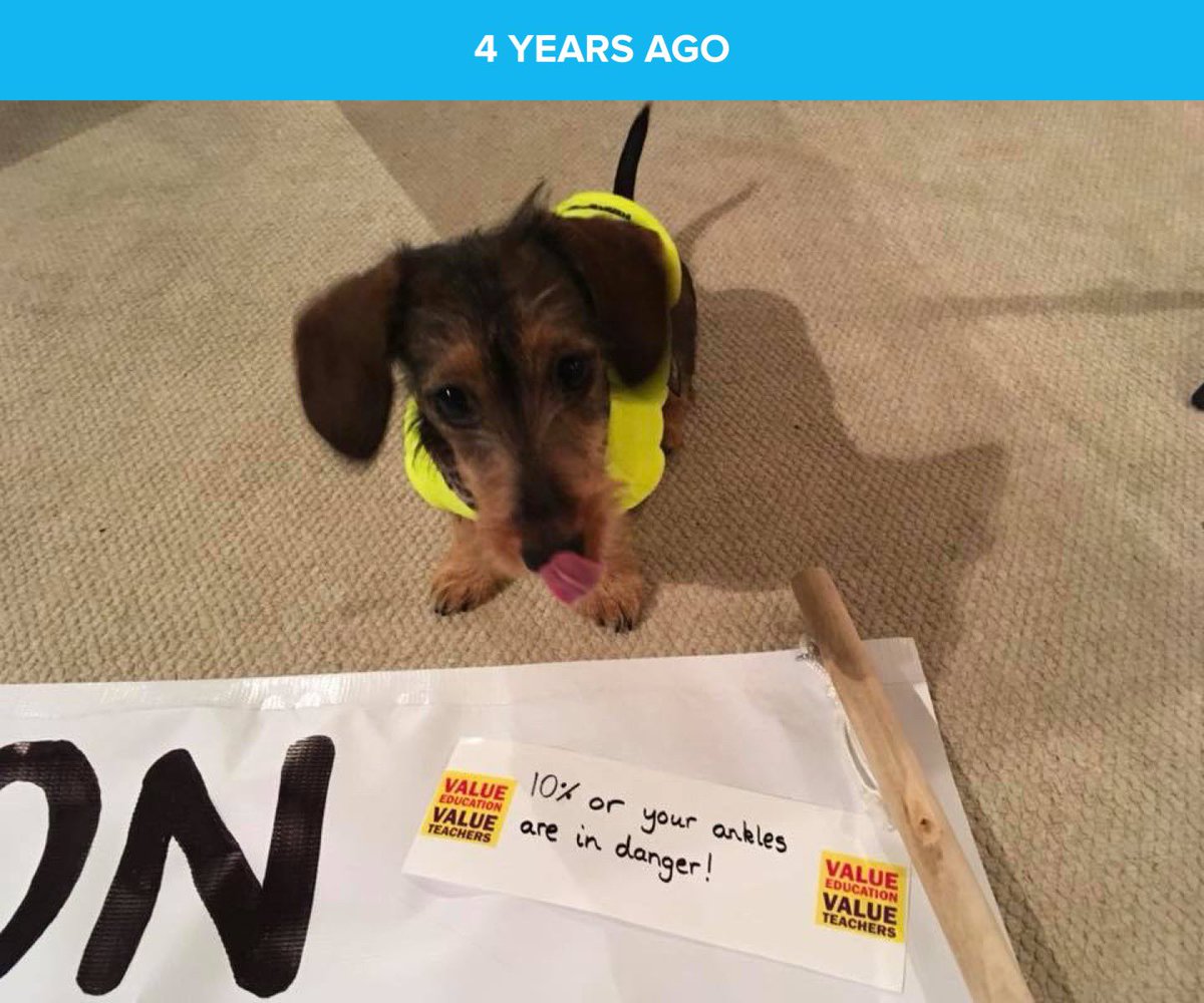 maryoddsocks's tweet photo. #PayAttention #VoteYesVoteEarly Me and my wee dog getting ready 4 years ago. And we’ll do it again if we need to! @EISUnion https://t.co/ogqOCh6hSp