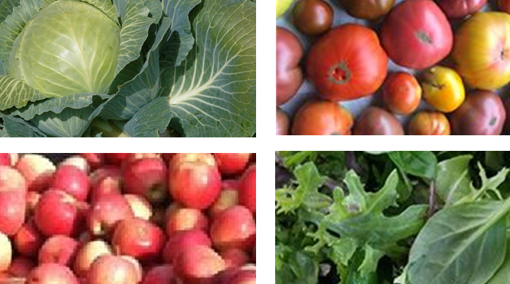Specialty Crop Block Grant New York RFP now open! more info at nyfvi.org!