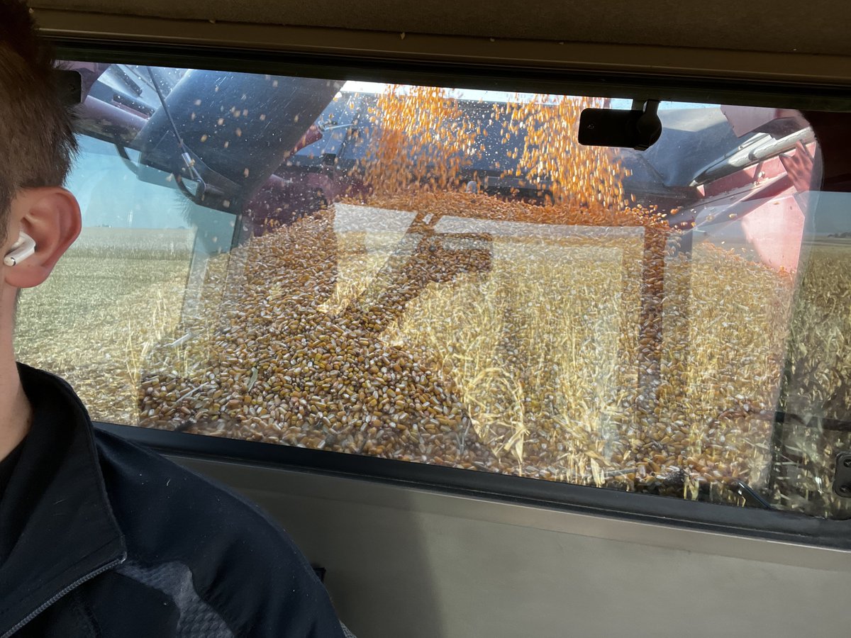 FoulkShay's tweet image. Clean windows make the combine run better. I don’t know the science behind it, I just know it to be true!