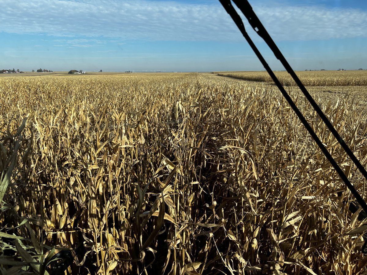 FoulkShay's tweet image. Clean windows make the combine run better. I don’t know the science behind it, I just know it to be true!