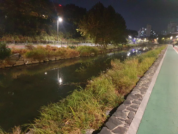 これは韓国のウイ川ですこの川にはバリ橋があります 