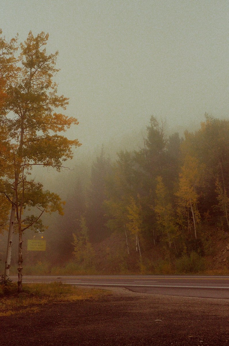 AlexKittoe's tweet photo. Foggy scenes on 35mm https://t.co/a6UTFoqeYh