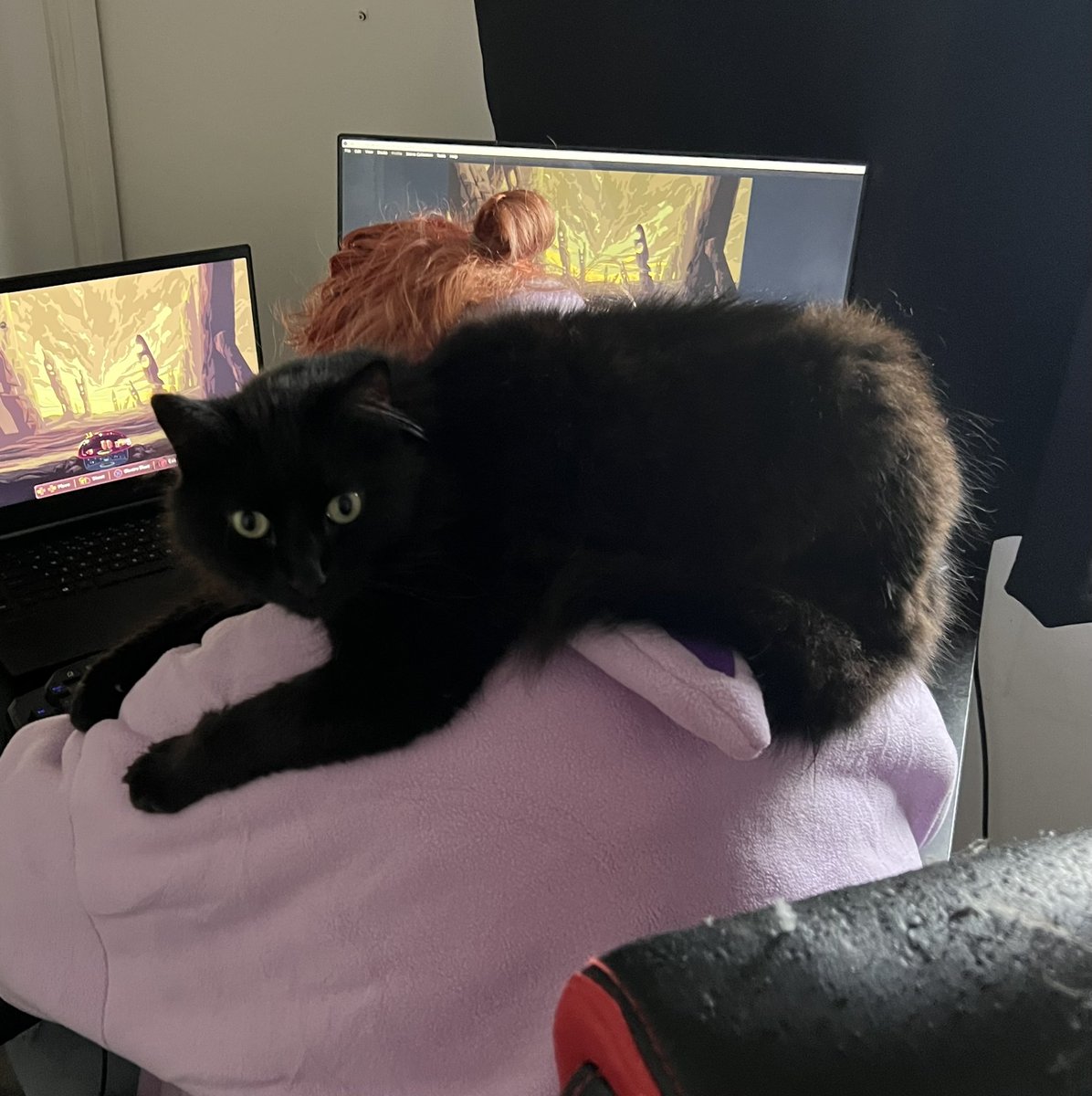 mickithegamer's tweet photo. Ezio loves watching me get capture for @DomeKeeper (when he’s not distracted by the camera) 😻 https://t.co/rRxQlzpo7o