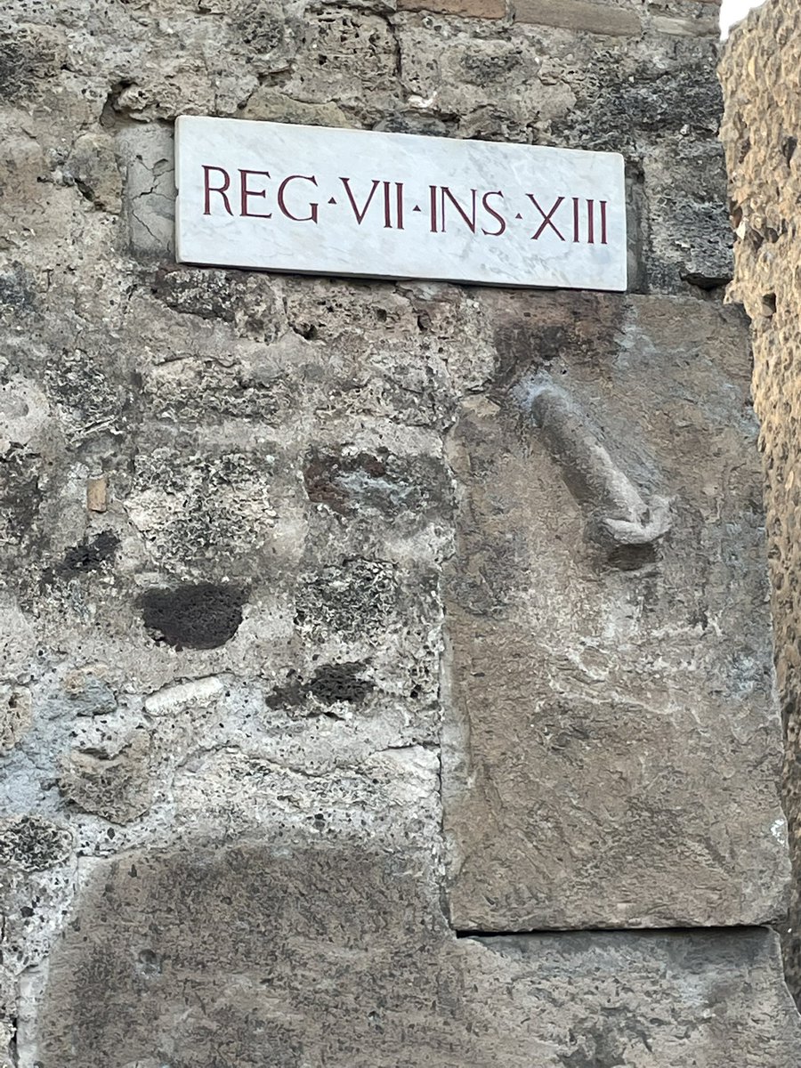 FrannieM36's tweet photo. @ElodieITV thanks to you and The Wolf Den I have just come back from an amazing trip to Pompeii! https://t.co/yEK9TVuQaT