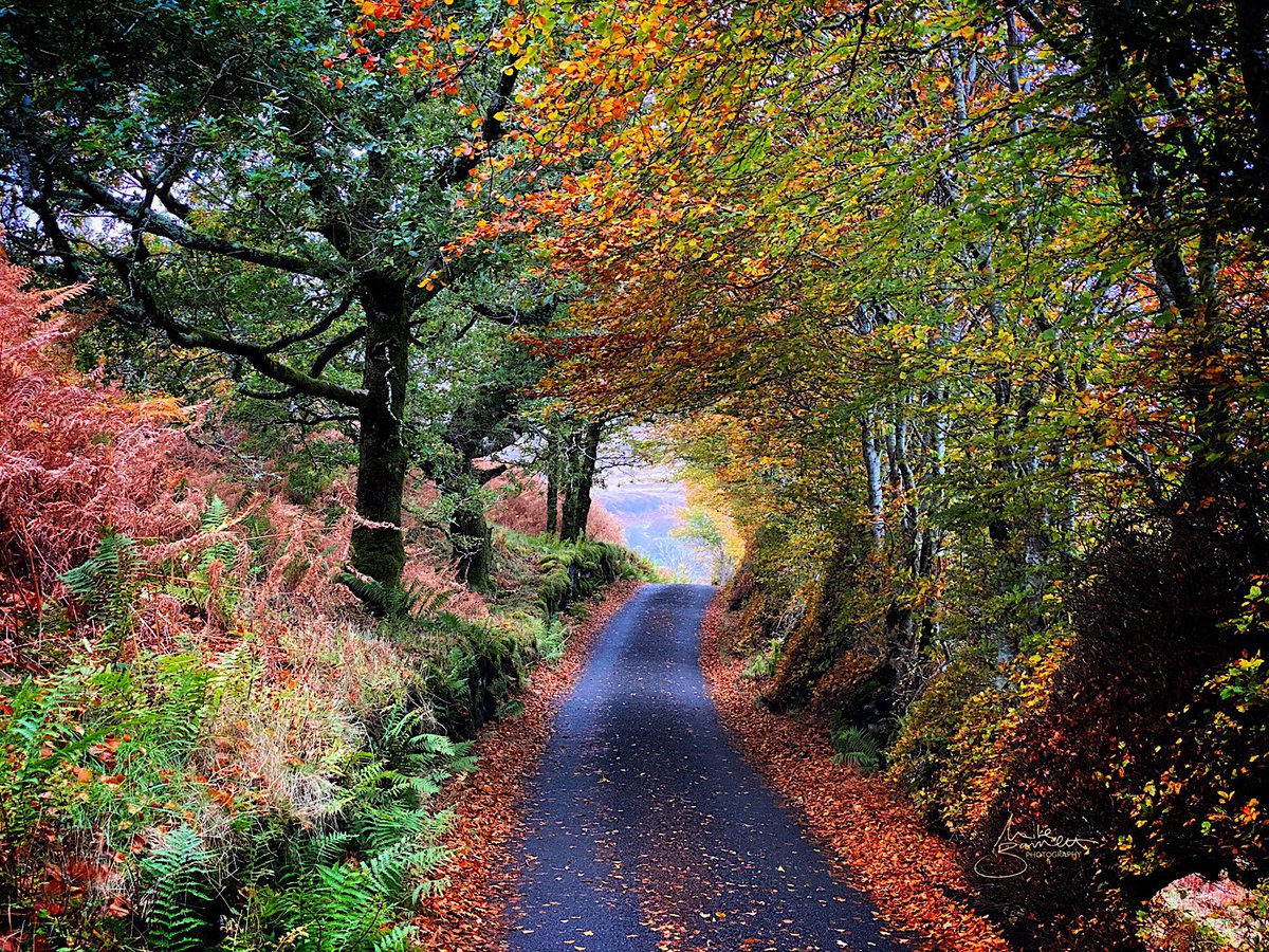 The colours are changing. 

#isleofmull #Scotland #landscapephotography #mikebarrettphotography #autumn 
#ThePhotoHour