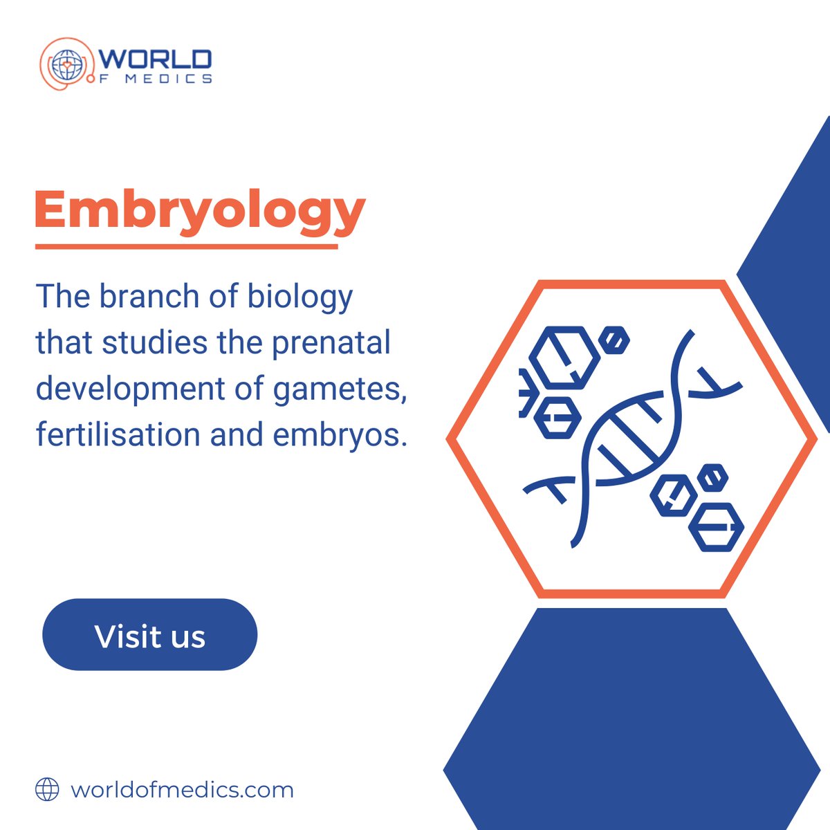 Embryology is the branch of biology that studies the prenatal development of gametes, fertilisation and development of embryos. 
We cover embryology in our educational content so be sure to follow for more medical education.
#WorldofMedics #MedicalTutorials #HumanBody #Doctor