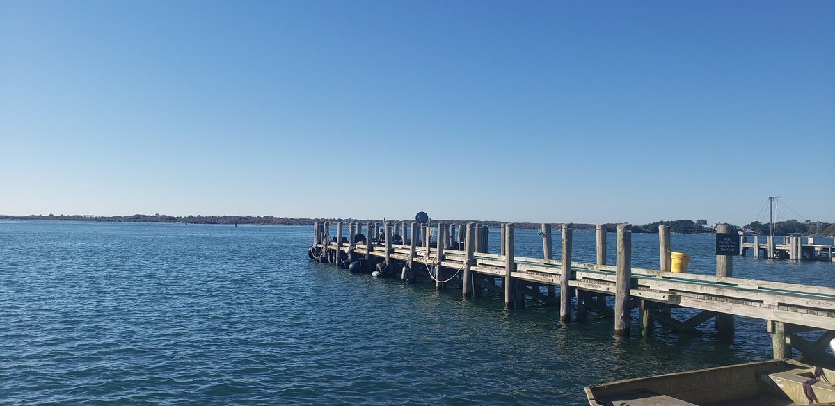 jennycschafer's tweet photo. After 3 days of fog, I finally got a beautiful, sunny morning at Woods Hole. Now off to Boston for the BINA @BioimagingNA Exchange of Experience. #BINA2022CC @VUCellImaging https://t.co/zkmk9uI9Dg