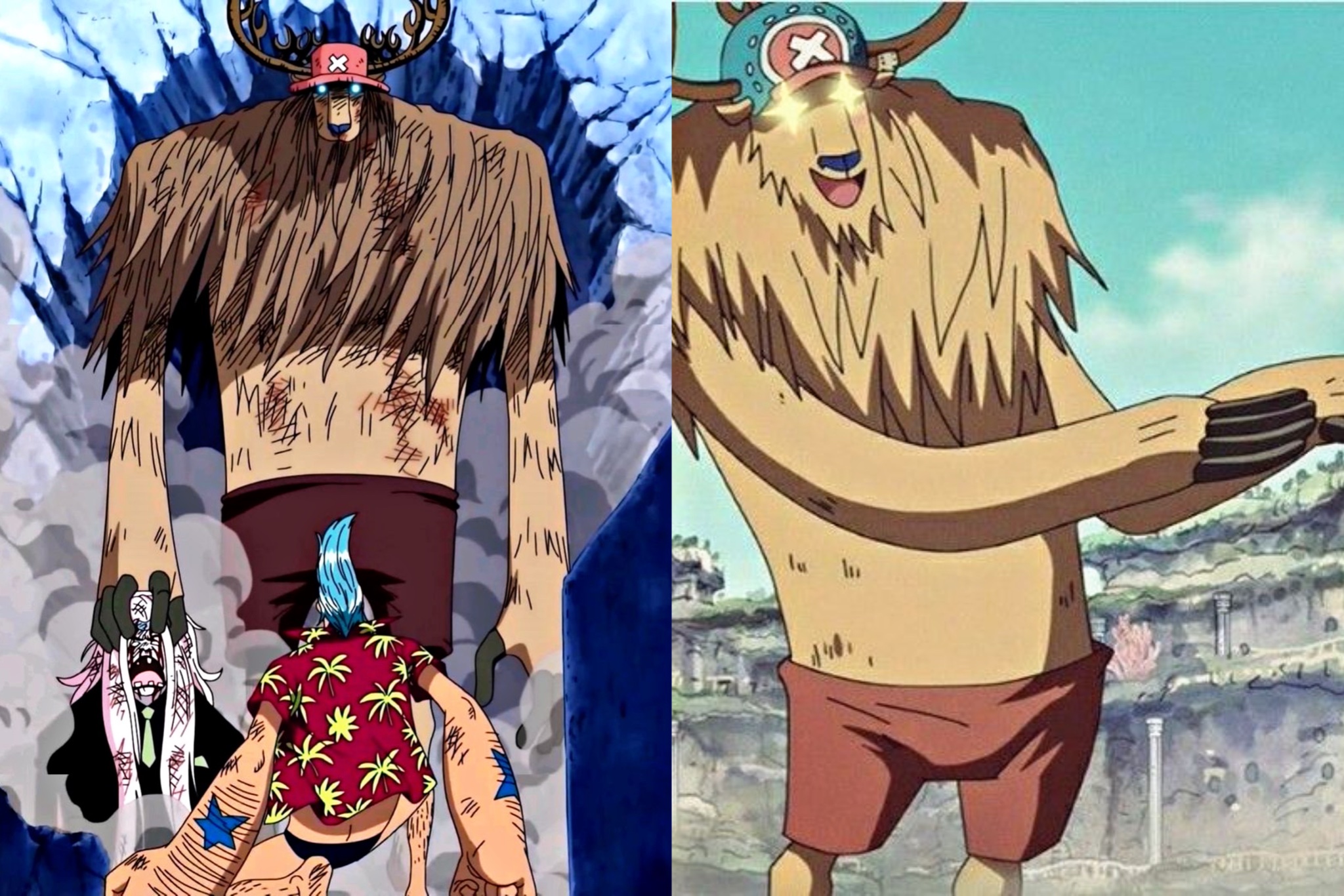 how tall is chopper monster point