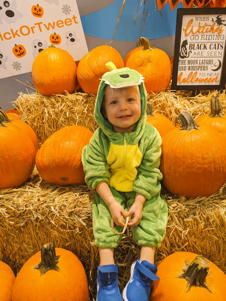 Casey Kern ✨ tweet media