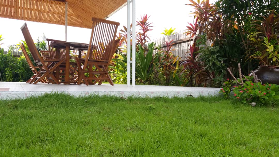 NazakiResidence's tweet photo. Beach front hotel at Nazaki Residences
https://t.co/XMgB7wOH52
#Maldives #Malediven #Maldivler #Мальдивы #nature #garden https://t.co/xoLQola3ir