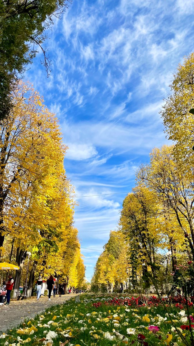 ArnautuLory's tweet photo. My #SweetOctober… 🍃🍁🍂🌿 https://t.co/1lMMIRSjAH