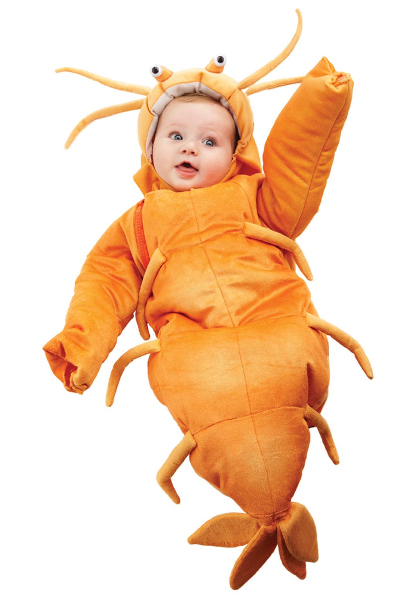 shrimp delight tweet media