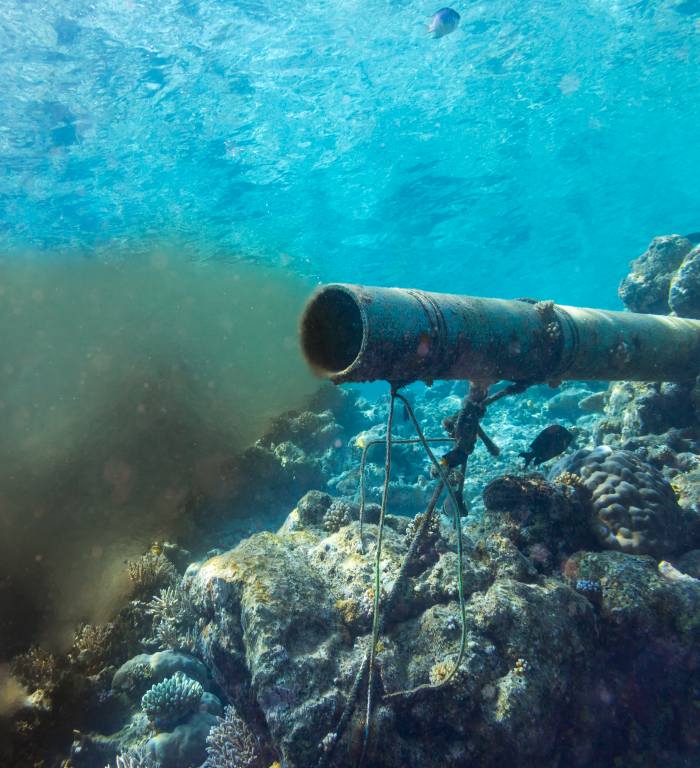 servrov tweet picture