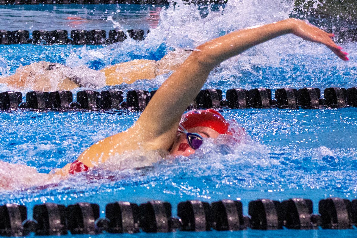Wisconsin Swimming & Diving tweet media