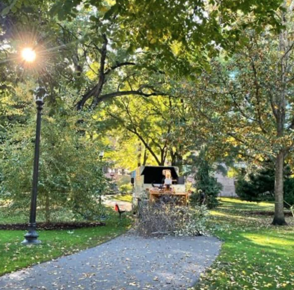 FOPG's tweet photo. Fall is a busy time in the #threeparks!  More #FriendsAtWork today trimming trees in the #PublicGarden. Keep all those trees healthy, safe and beautiful....🍂 
#treetrimming #safetrees 

@BostonParksDept https://t.co/NOZq56Pfqz