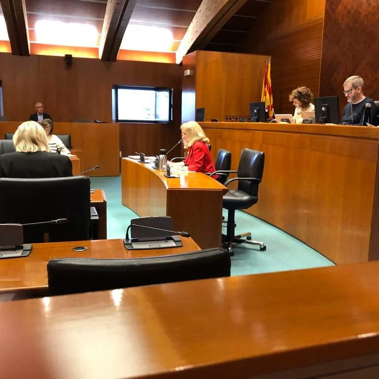 REDMADREAragon's tweet photo. Ayer comparecimos ante la Comisión de Ciudadanía y Derechos Sociales en las Cortes de Aragón en relación con el Proyecto de Ley de apoyo a las familias de Aragón. Este elimina por completo el apoyo a la maternidad e invisibiliza aún más a las mujeres embarazadas con dificultades https://t.co/996FPx3dDU