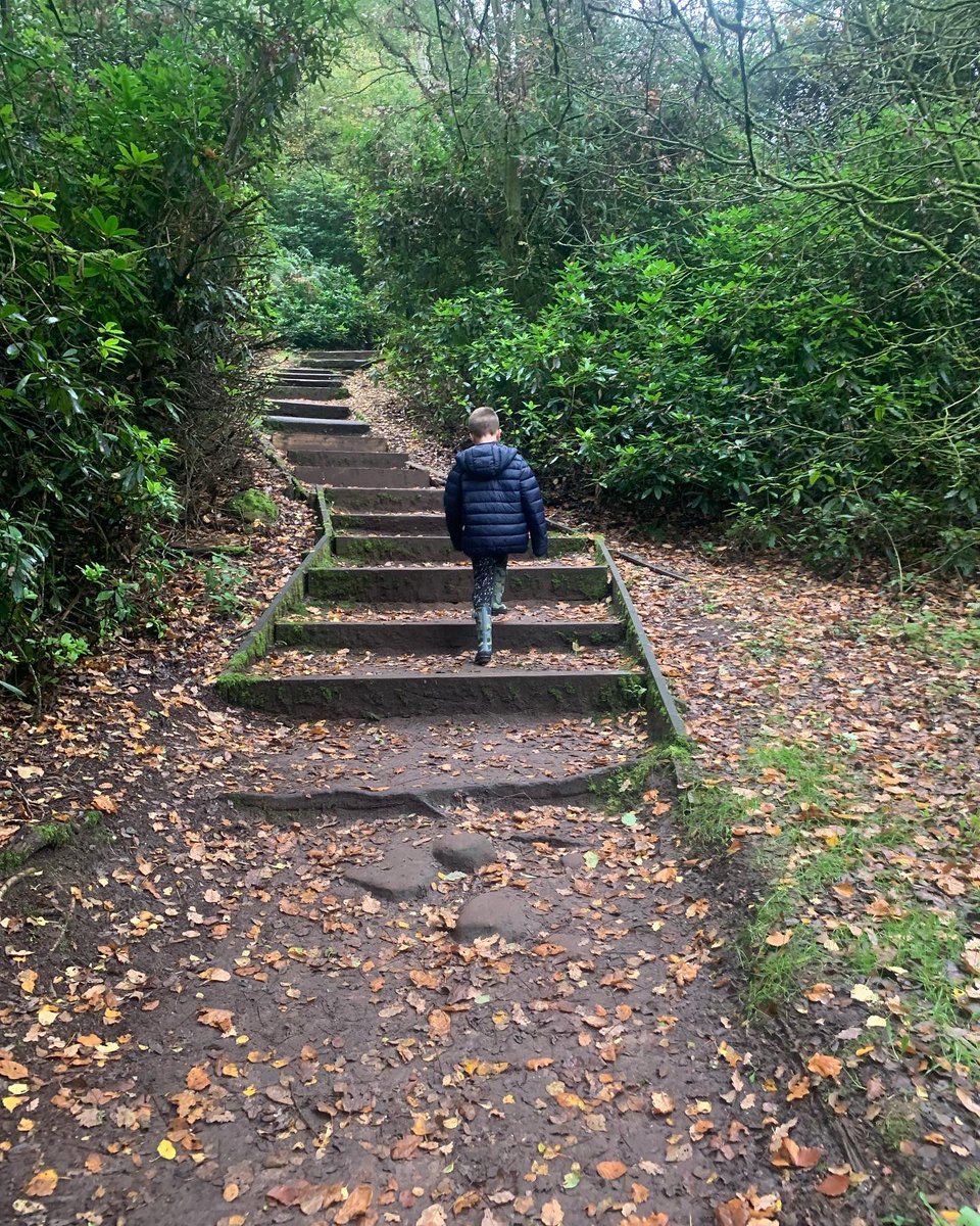 Mrs_Banister's tweet image. Awesome day at @TheFollies The kids loved the quest and enjoyed meeting Theodora and the wizard. Definitely recommend this for a Halloween trail #halftermfun #Hawkstonepark #Shrewsbury