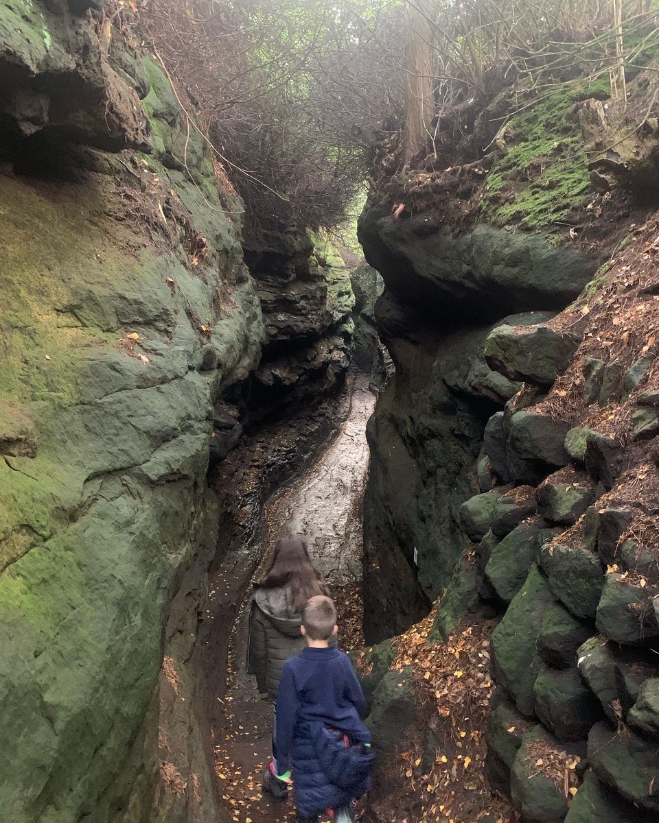 Mrs_Banister's tweet image. Awesome day at @TheFollies The kids loved the quest and enjoyed meeting Theodora and the wizard. Definitely recommend this for a Halloween trail #halftermfun #Hawkstonepark #Shrewsbury