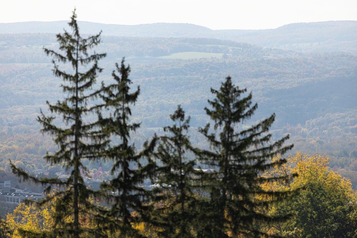 Cornell Football tweet media