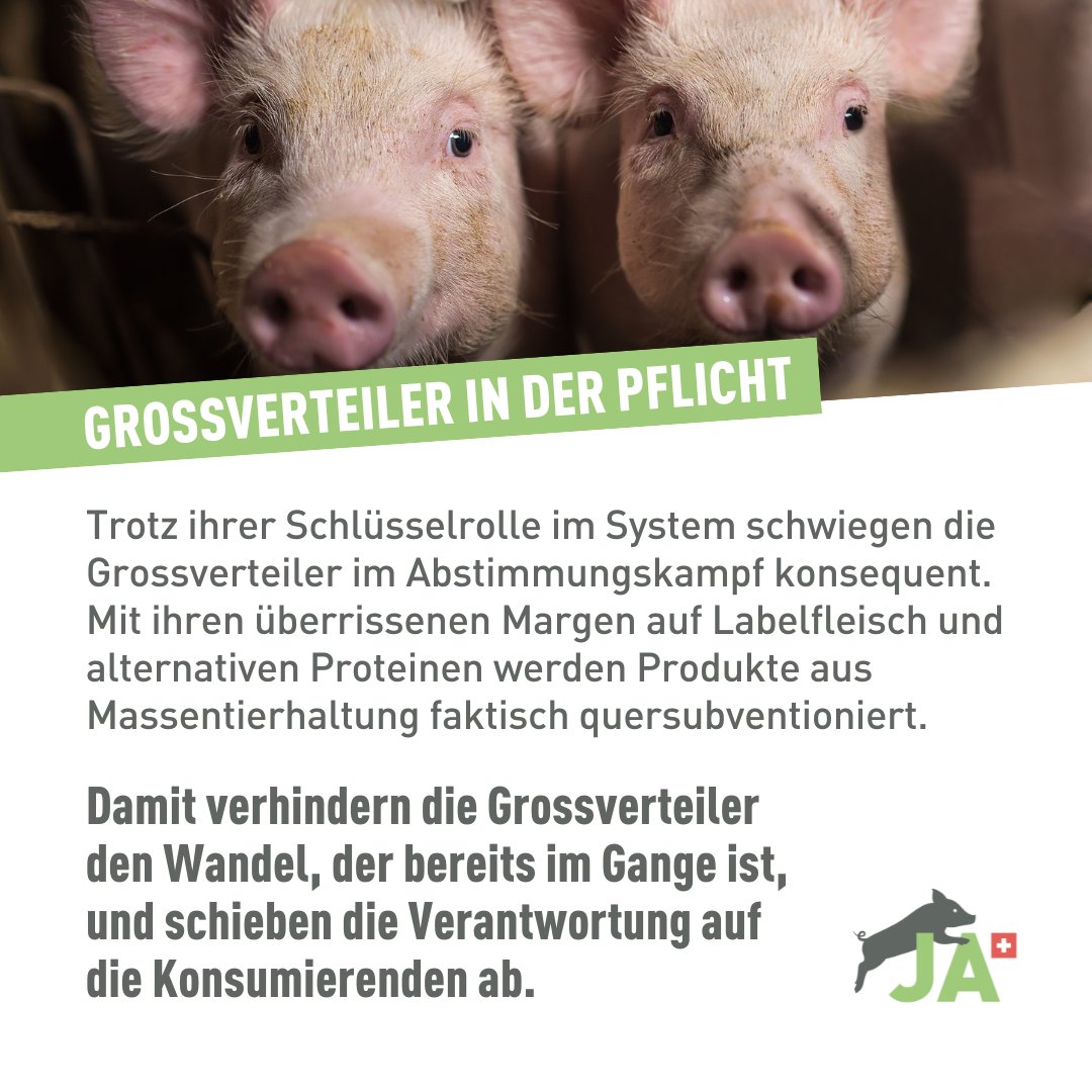 Initiative gegen Massentierhaltung tweet media