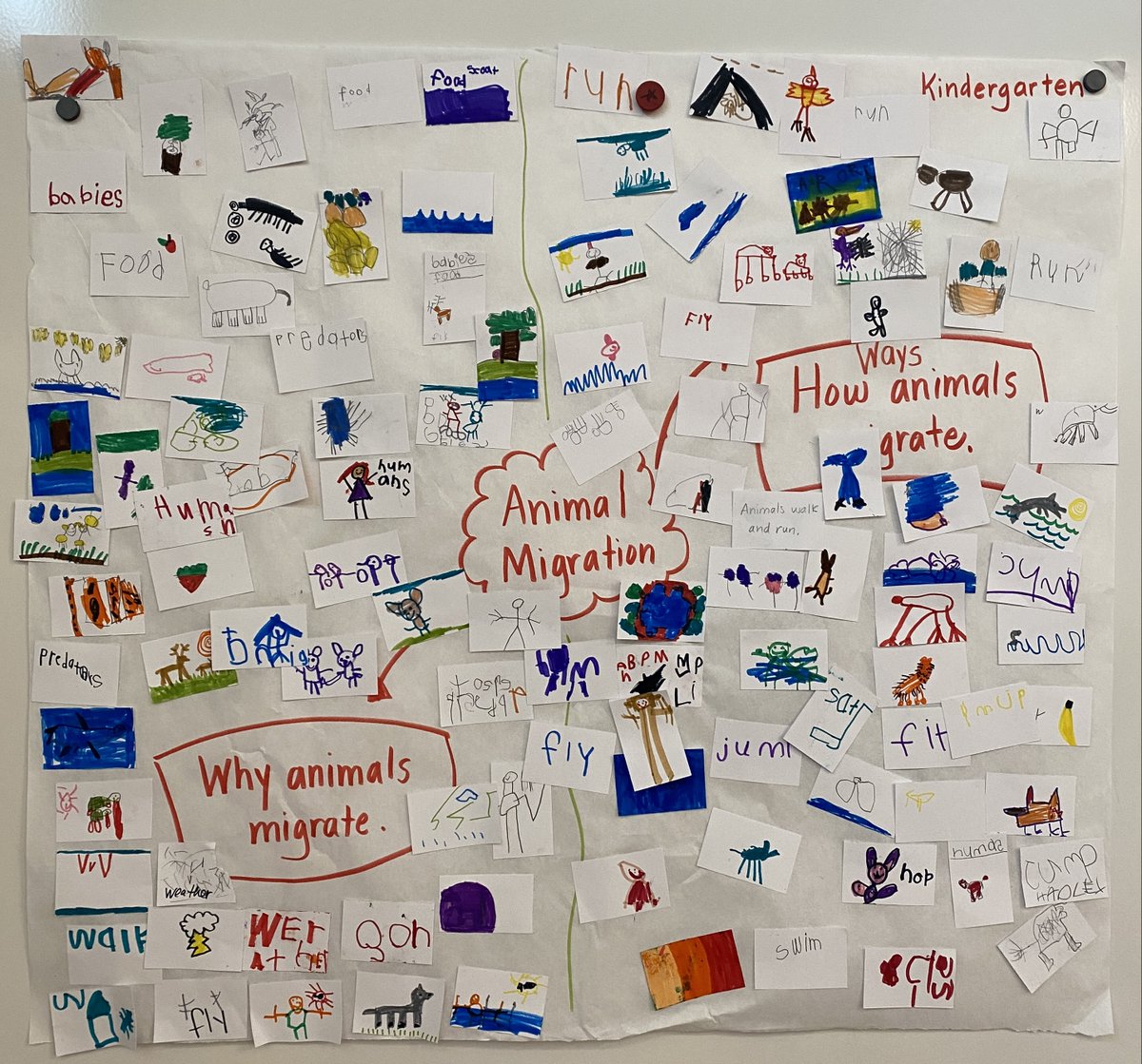 lps_visualart's tweet image. As part of curiosities by Robinson Elementary scholars, K-2 students made thinking walls about migration and 3-5 students mapped their thinking about immigration on mind maps.