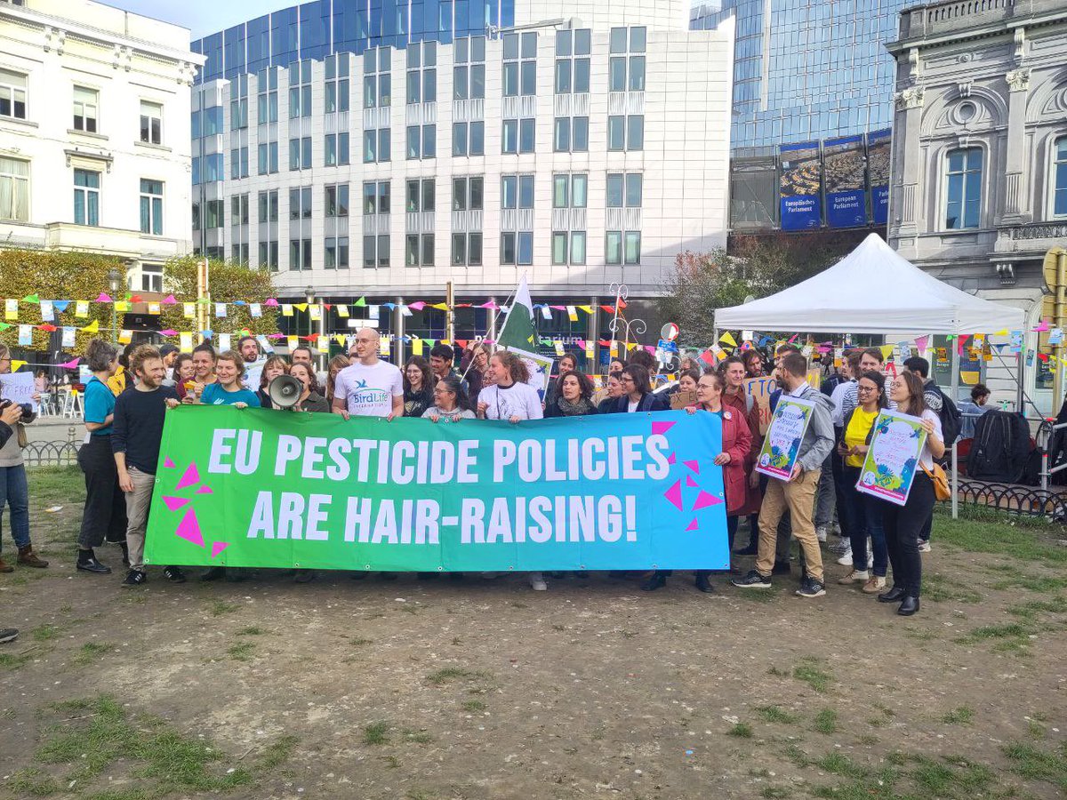 Withdraw The CAP tweet media