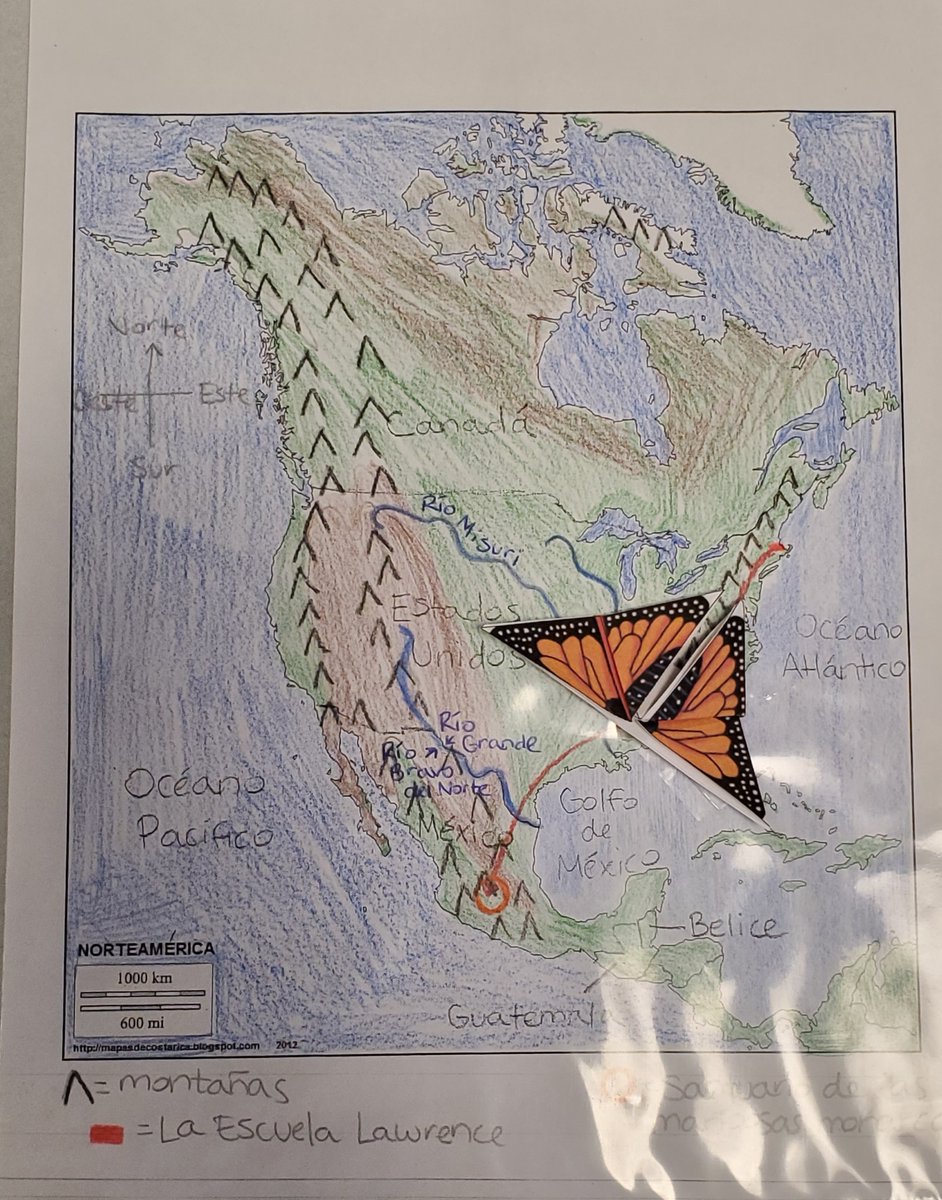 Profe_Robinson's tweet photo. In 3rd grade, we're talking about autumn. We've been using our individual maps and origami butterflies to track the monarch migration, have compared fall in Massachusetts to fall in Michoacán, and saw a color-changing magic trick that we will learn to do in our next class. https://t.co/zyVs7D0WPl