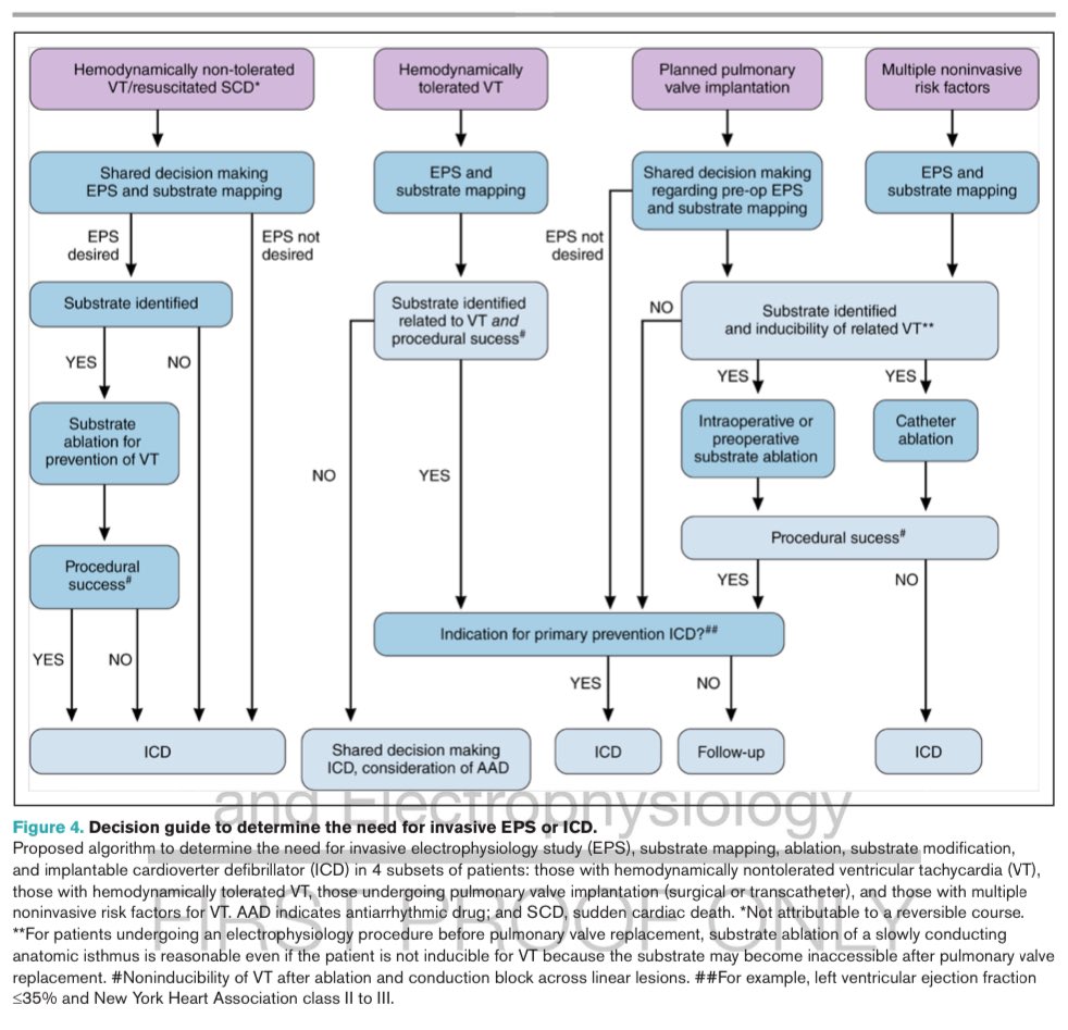 Edgardo Alania (@ed_alania) on Twitter photo 🔴Arrhythmias in Repaired Tetralogy of Fallot: A Scientific Statement From the American Heart Association <a href="/CircAHA/">Circulation</a> <a href="/valeriaduarteMD/">Valeria Duarte MD MPH</a> <a href="/ChristySillman/">Christy Sillman, NP</a> <a href="/supadhyaymd/">Shailendra (Shai) Upadhyay</a> #Cardioed #Cardiology #EPeeps <a href="/torresviera/">José Miguel Torres Viera</a> <a href="/CNCFCardio/">CNCFCardio</a> <a href="/CardioCaribeMx/">Cardiopaps</a> 🔴Arrhythmias in Repaired Tetralogy of Fallot: A Scientific Statement From the American Heart Association <a href="/CircAHA/">Circulation</a> <a href="/valeriaduarteMD/">Valeria Duarte MD MPH</a> <a href="/ChristySillman/">Christy Sillman, NP</a> <a href="/supadhyaymd/">Shailendra (Shai) Upadhyay</a> #Cardioed #Cardiology #EPeeps <a href="/torresviera/">José Miguel Torres Viera</a> <a href="/CNCFCardio/">CNCFCardio</a> <a href="/CardioCaribeMx/">Cardiopaps</a>