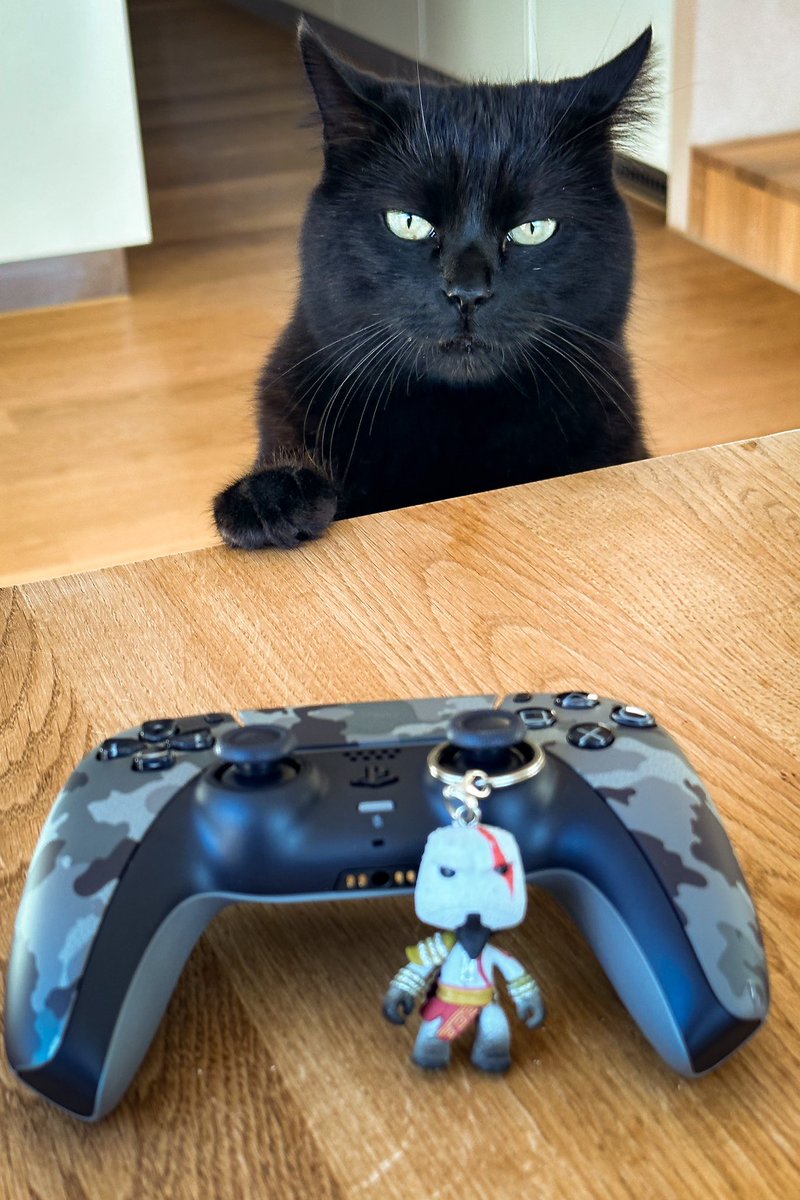 roger_sieber's tweet photo. #GodOfWar and our #CatInCharge!
Any idea what she wants?
#PlayStation5 #DualSense #Camouflage #GodofWarRagnarok #SwissGames #ShotOnIPhone! #katzen #ps5 #GodOfCats https://t.co/qCO1LWei3g