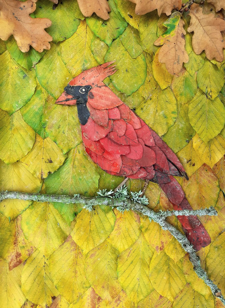 I couldn't resist trying a Northern Red Cardinal, after picking up some flame-coloured leaves on my walk yesterday. Compostable Autumn Art made entirely from fallen leaves and a twig!🍁🍂🍁 #Compostable AutumnArt #Autumnleaves @BBCAutumnwatch