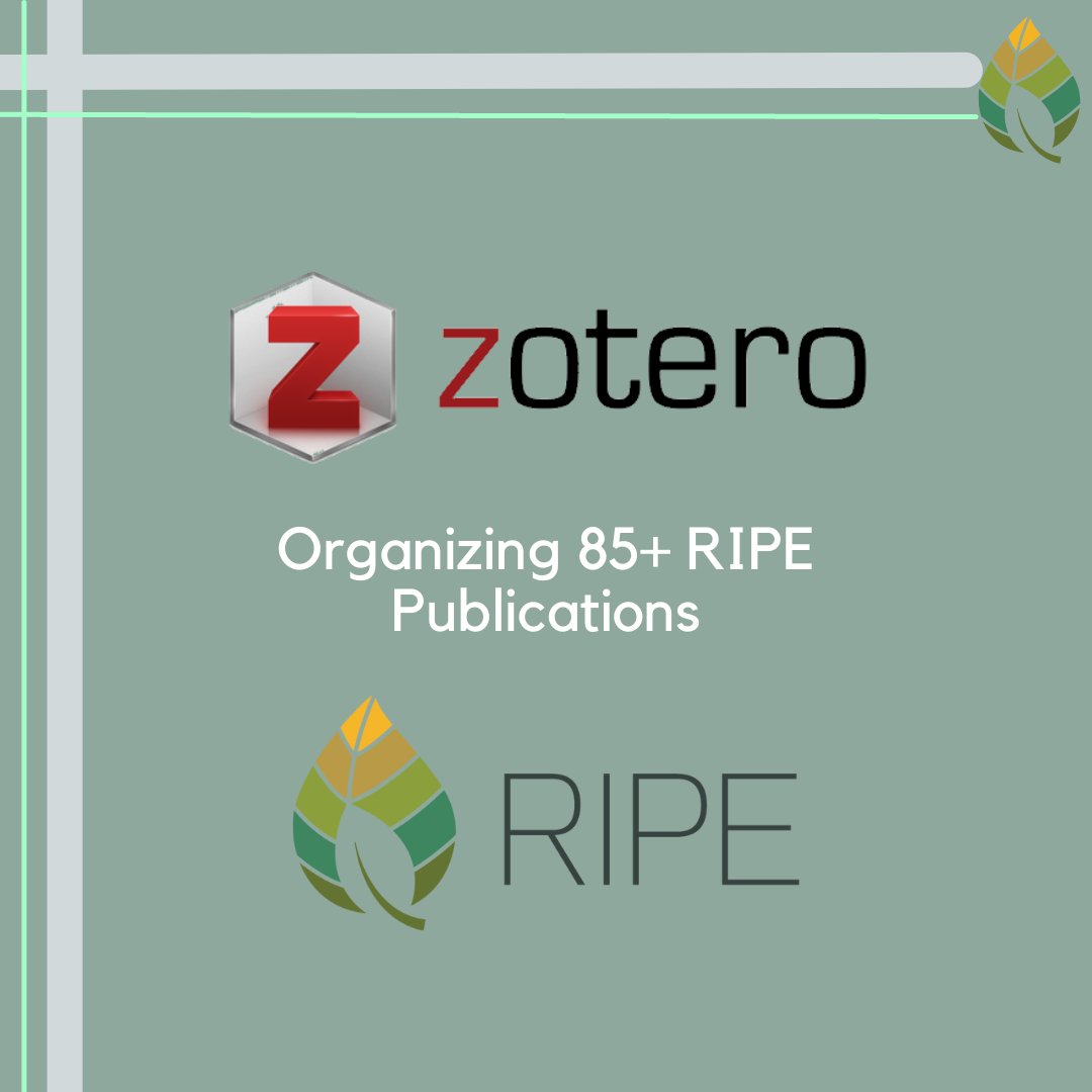 RIPEproject's tweet photo. October’s celebration of #10YearsofRIPE highlights our recent communications milestone of using @zotero to organize all 85+ publications, allowing researchers to sort through our papers more easily!
Read our full post here: https://t.co/UgKh6HLASq 🌿 https://t.co/UE5FOuTdU4