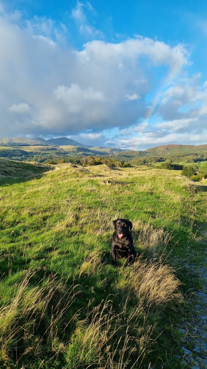 Lovely walks around the farm recently with Luna the Labrador, there's sure to be a bit more autumnal sunshine on the way, website link in the bio for last minute availability in the Cottages and Cabins 

#autumn #thornthwaitefarm #lakedistrict #winter #shortbreak #lastminute