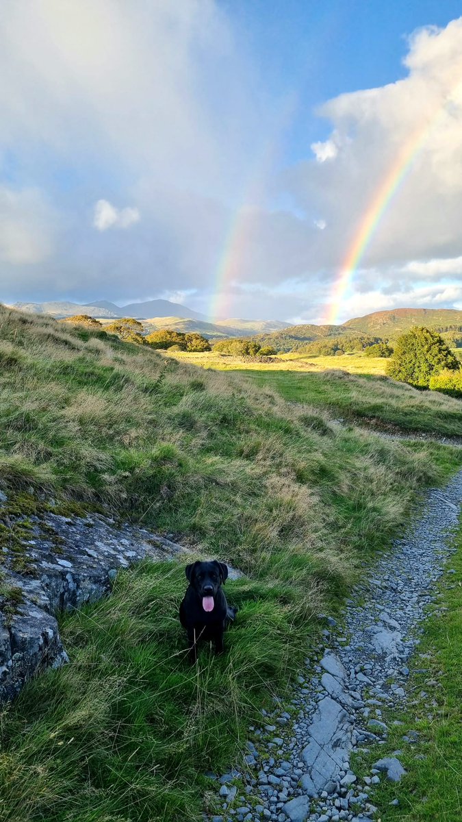 GoLakeDistrict's tweet photo. Lovely walks around the farm recently with Luna the Labrador, there's sure to be a bit more autumnal sunshine on the way, website link in the bio for last minute availability in the Cottages and Cabins 

#autumn #thornthwaitefarm #lakedistrict #winter #shortbreak #lastminute https://t.co/mOkwxZIMhf
